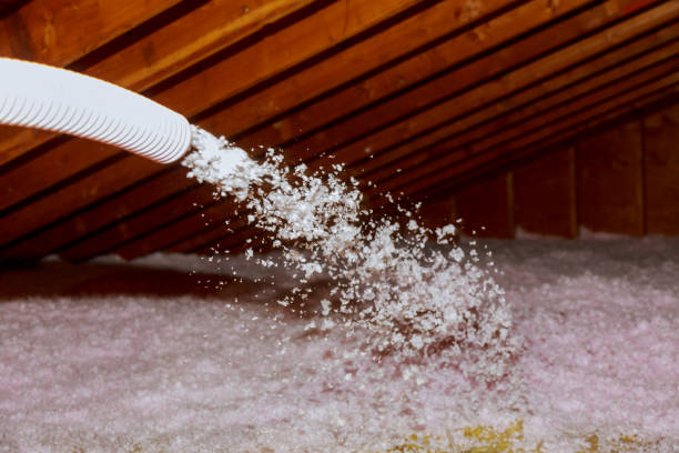 Best Eco-Friendly Insulation in Pearson, GA