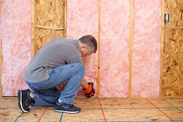 Best Cellulose Insulation in Pearson, GA